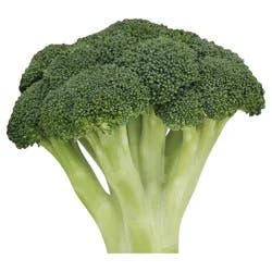 Organic Broccoli