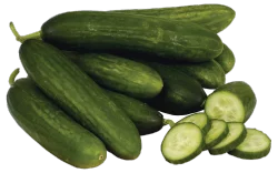 Cucumber - Persian