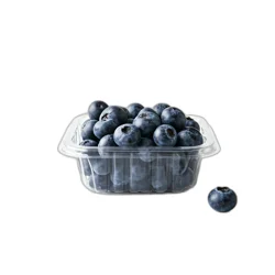 Blueberries Package