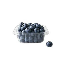 Blueberries Package