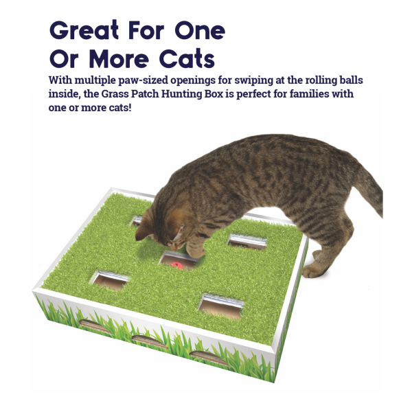 slide 25 of 25, Petstages Grass Patch Hunting Box, 1 ct