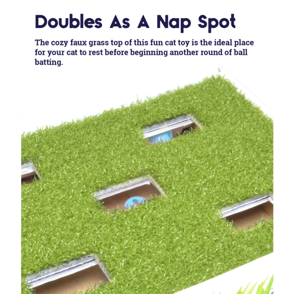 slide 19 of 25, Petstages Grass Patch Hunting Box, 1 ct