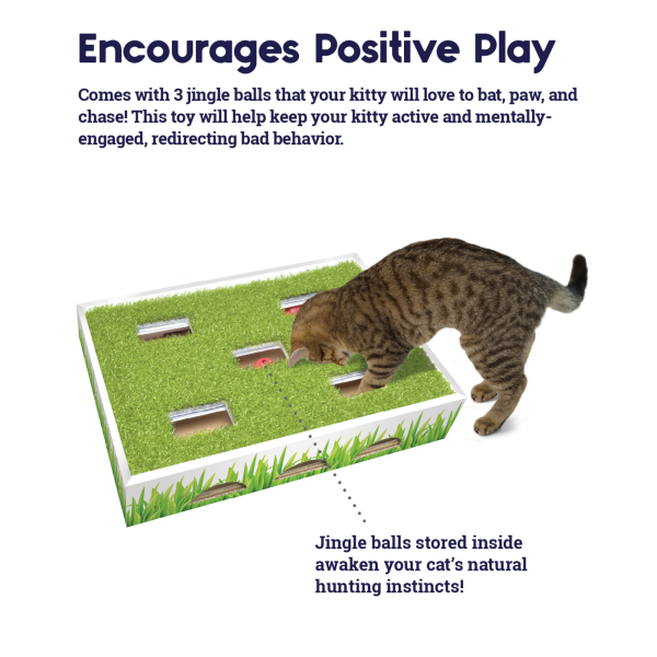 slide 7 of 25, Petstages Grass Patch Hunting Box, 1 ct