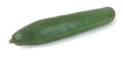 Seedless Cucumbers