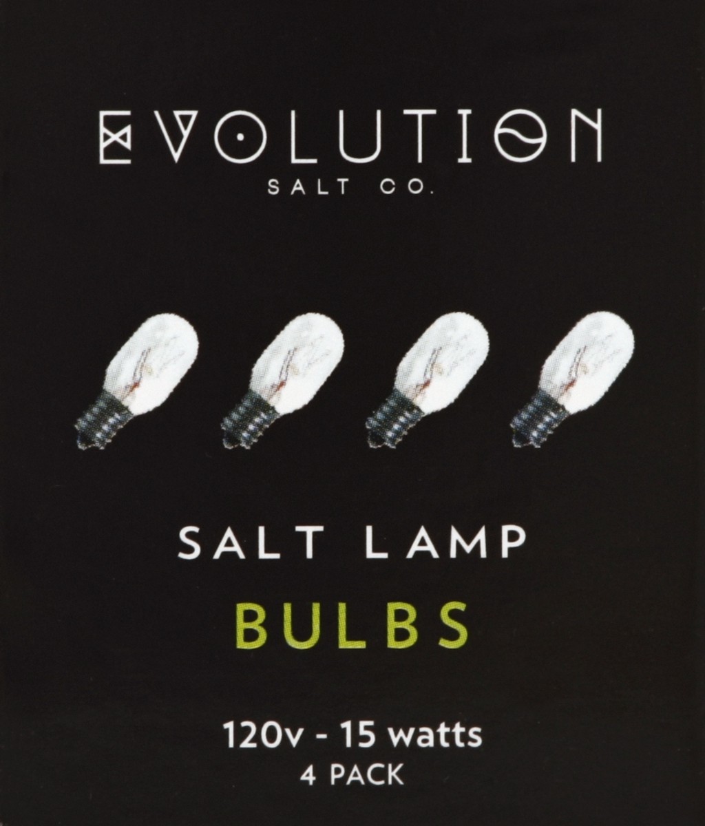 slide 4 of 4, Evolution Salt Co. Replacement Bulb Clear 15 Watt, 4 ct