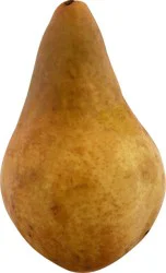Fresh Bosc Pear
