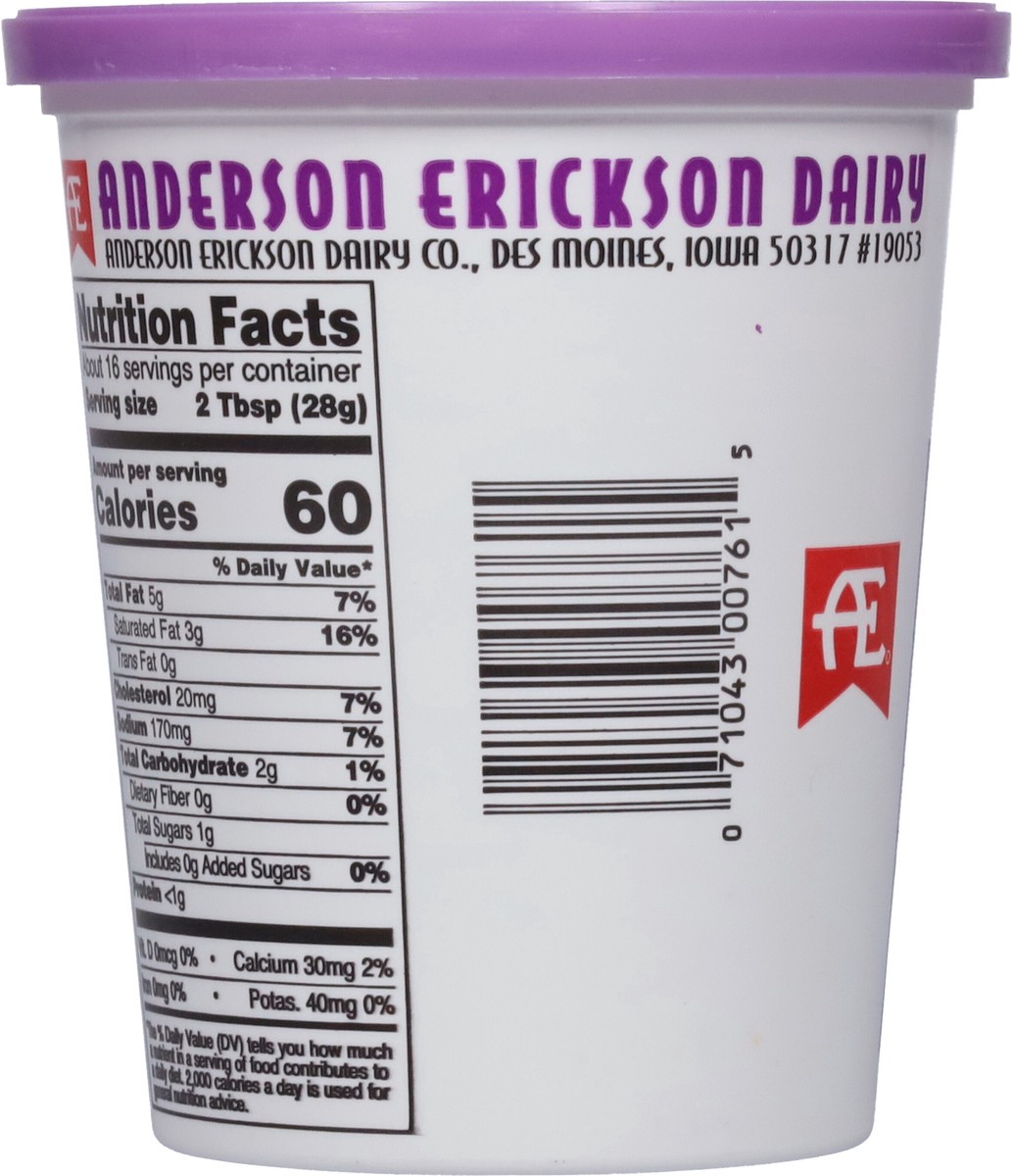 slide 8 of 9, Anderson Erickson Dairy French Onion Sour Cream Dip 16 oz, 16 oz