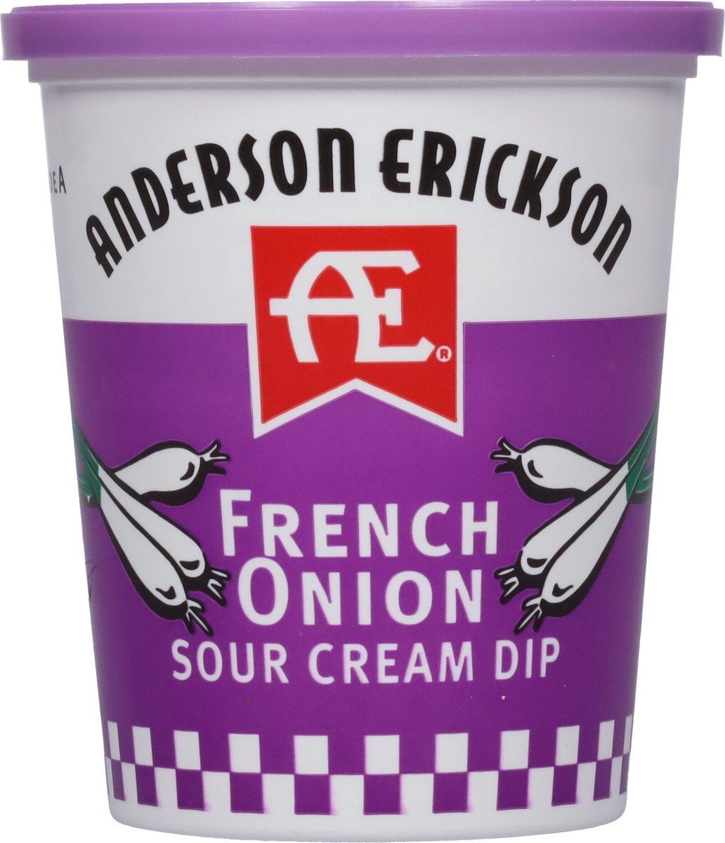 slide 4 of 9, Anderson Erickson Dairy French Onion Sour Cream Dip 16 oz, 16 oz