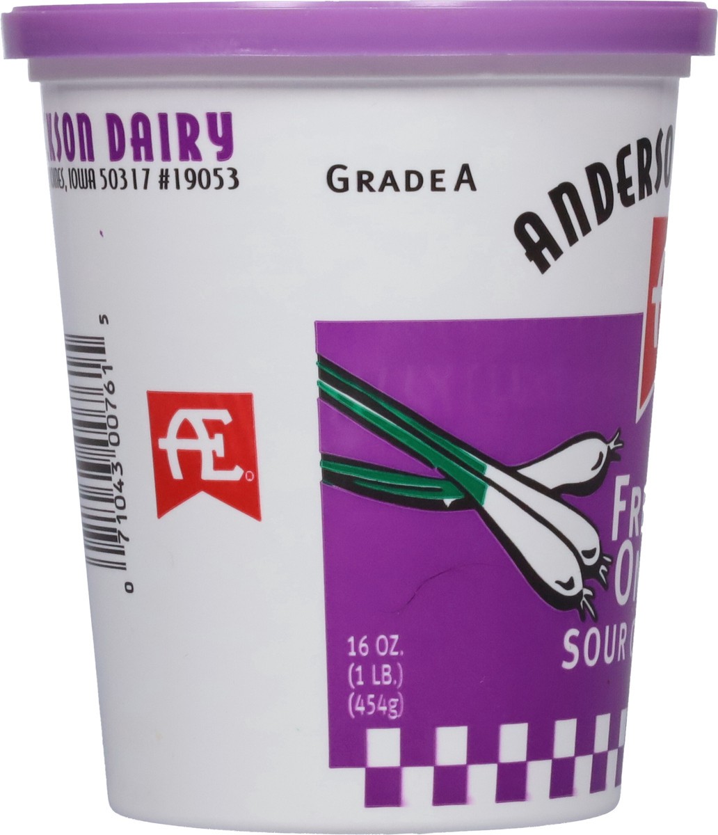 slide 2 of 9, Anderson Erickson Dairy French Onion Sour Cream Dip 16 oz, 16 oz