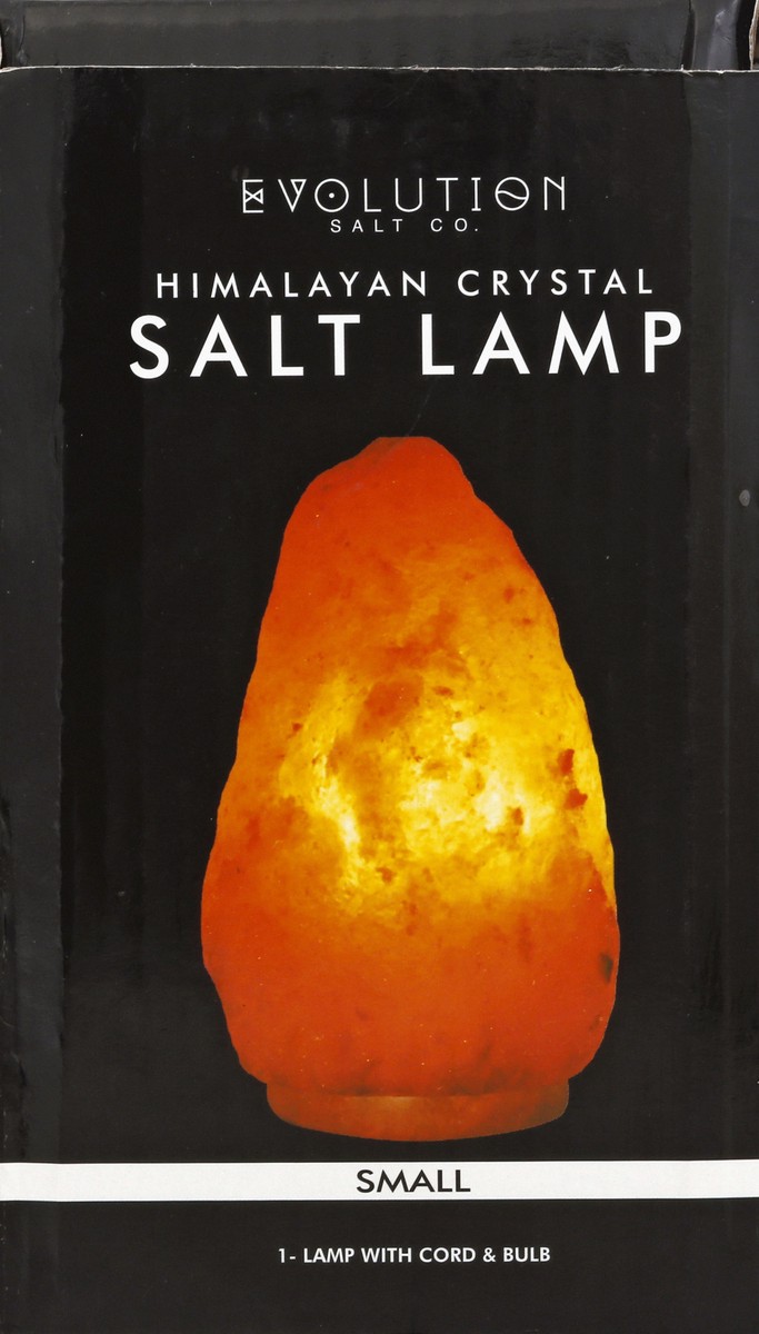 slide 1 of 10, Evolution Salt Salt Lamp 1 ea, 1 ct