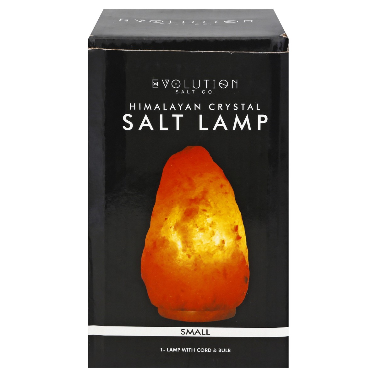 slide 3 of 10, Evolution Salt Salt Lamp 1 ea, 1 ct