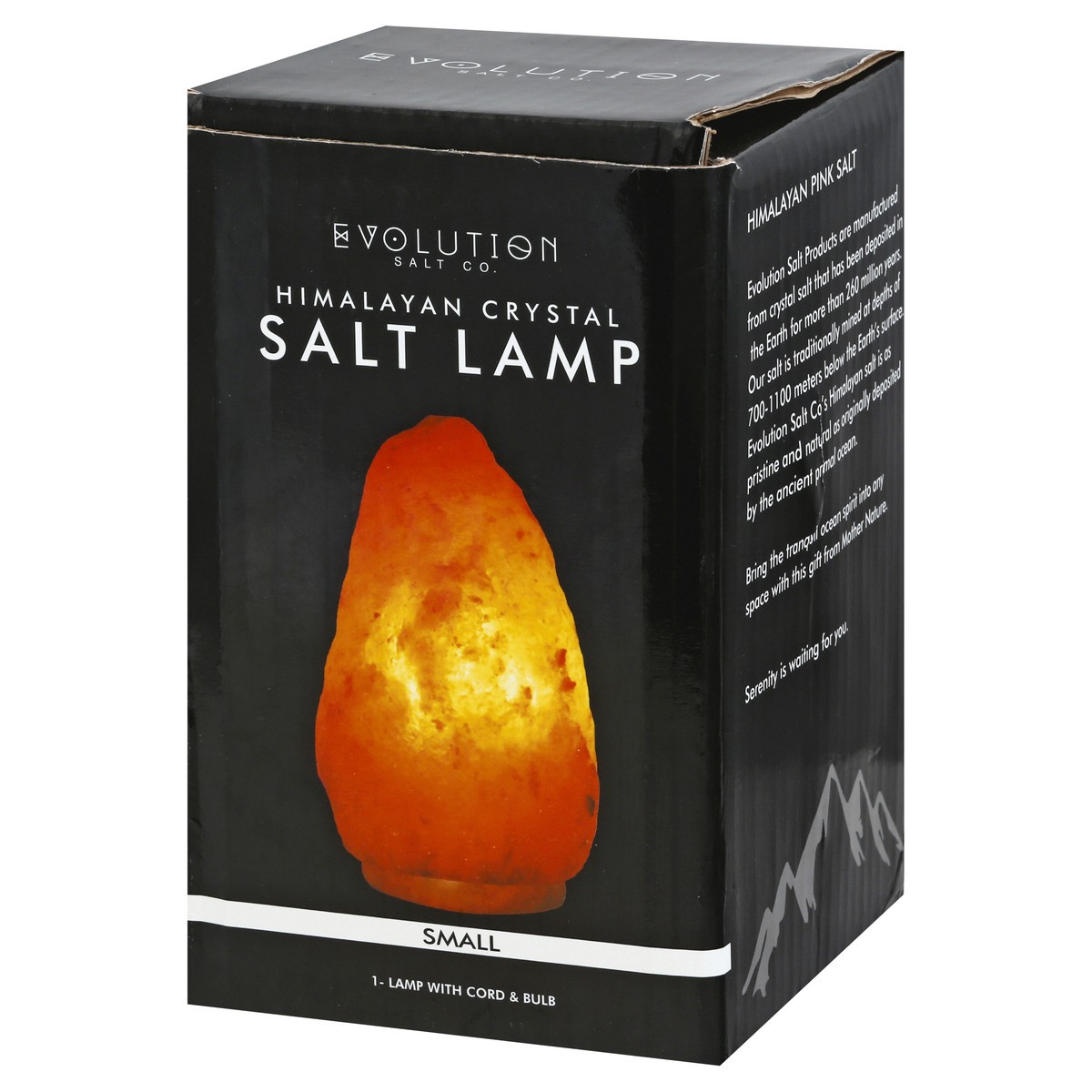 slide 4 of 10, Evolution Salt Salt Lamp 1 ea, 1 ct