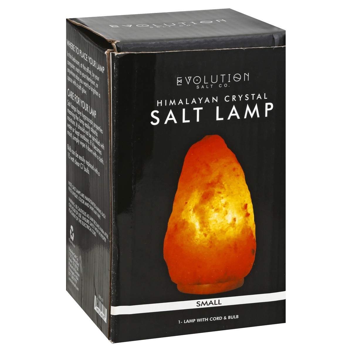 slide 9 of 10, Evolution Salt Salt Lamp 1 ea, 1 ct