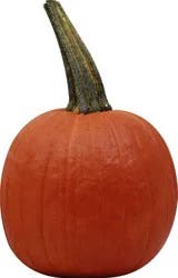 Produce Pumpkin 1 ea