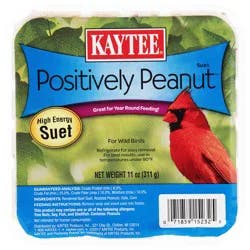 Kaytee Positively Peanut Suet 11 oz