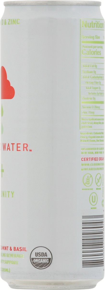 slide 11 of 14, Cloud Water Cloud Mint Grapefruit Water, 12 oz