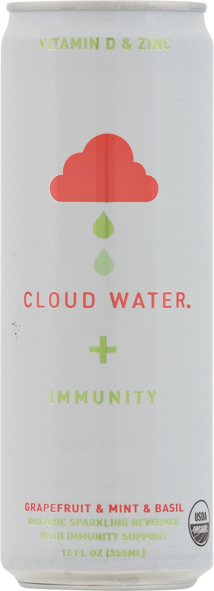 slide 9 of 14, Cloud Water Cloud Mint Grapefruit Water, 12 oz