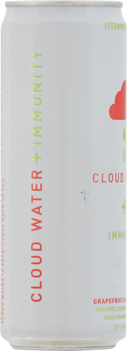 slide 8 of 14, Cloud Water Cloud Mint Grapefruit Water, 12 oz