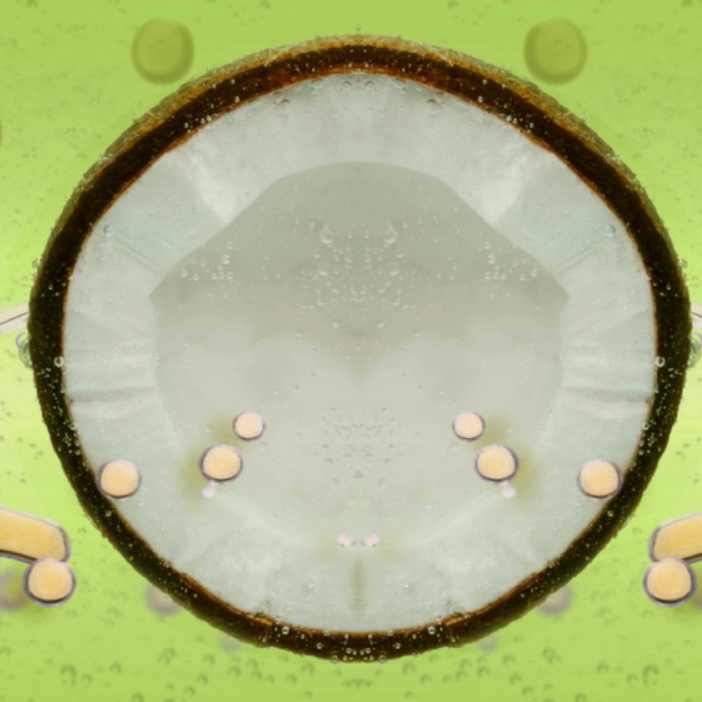 slide 10 of 13, Garnier Fructis Styl Curls Mult-Use Oil, 3.8 fl oz