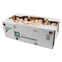 Markon First Crop Fresh Medium Mushrooms