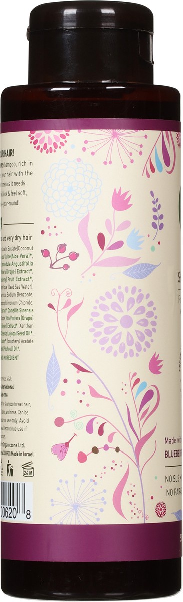 slide 5 of 9, Eco Love Blueberry, Grape and Lavender Shampoo 17.6 fl oz, 17.6 fl oz