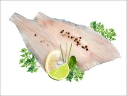 Fish-Fillet Flounder Fillet