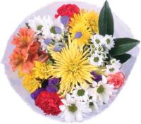 slide 1 of 1, BLOOM HAUS Harmony Feather Light Bouquet, 11 ct; 13 stems