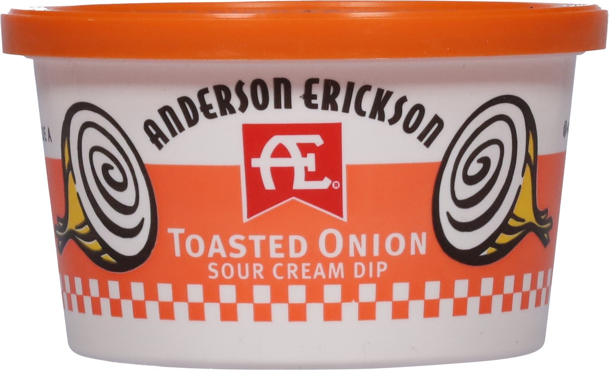 slide 9 of 11, AE Dairy Toasted Onion Sour Cream Dip, 8 oz
