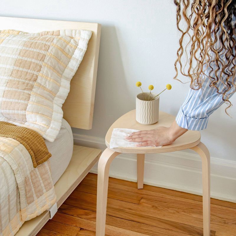 slide 4 of 5, Biom Santal Escape All Purpose Cleaning Wipes Refill - 60ct, 60 ct