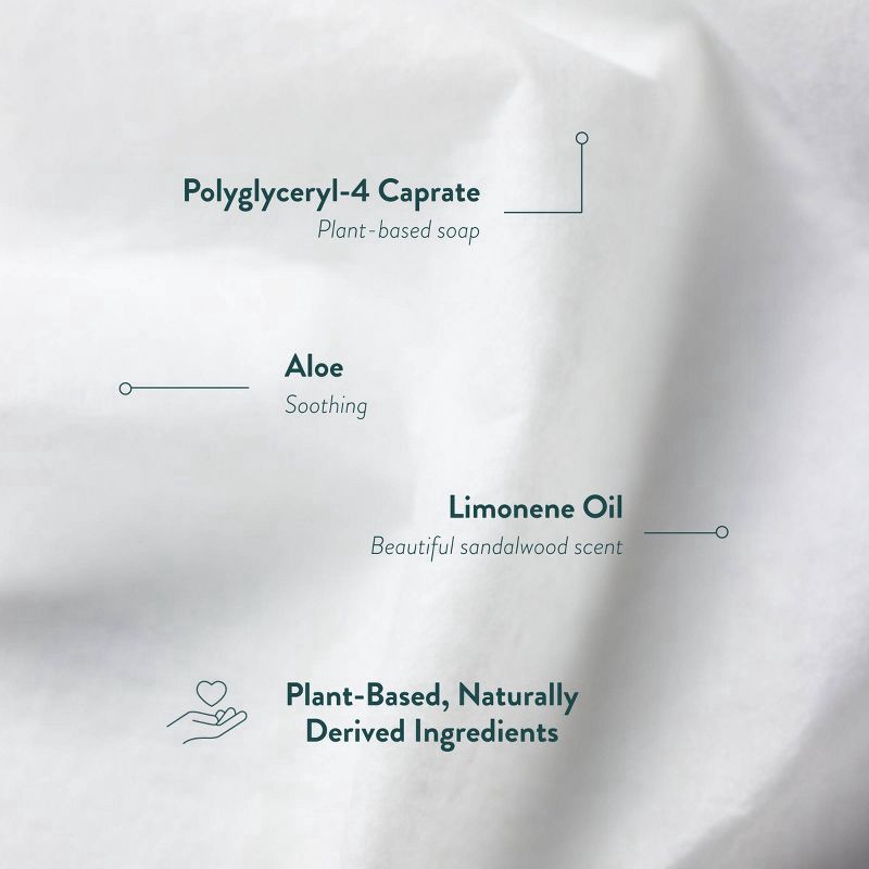 slide 3 of 5, Biom Santal Escape All Purpose Cleaning Wipes Refill - 60ct, 60 ct