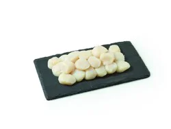 Wild Caught 10/20 Frozen Sea Scallops