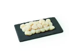 Wild Caught 10/20 Frozen Sea Scallops