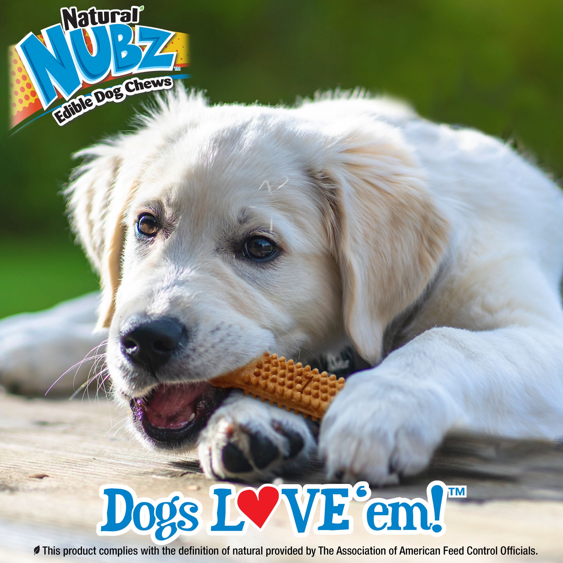 slide 6 of 8, Nylabone Natural Nubz Puppy Chew Treats, Turkey & Sweet Potato Flavor Small - Up to 30 lbs.(8 Count), 8 ct