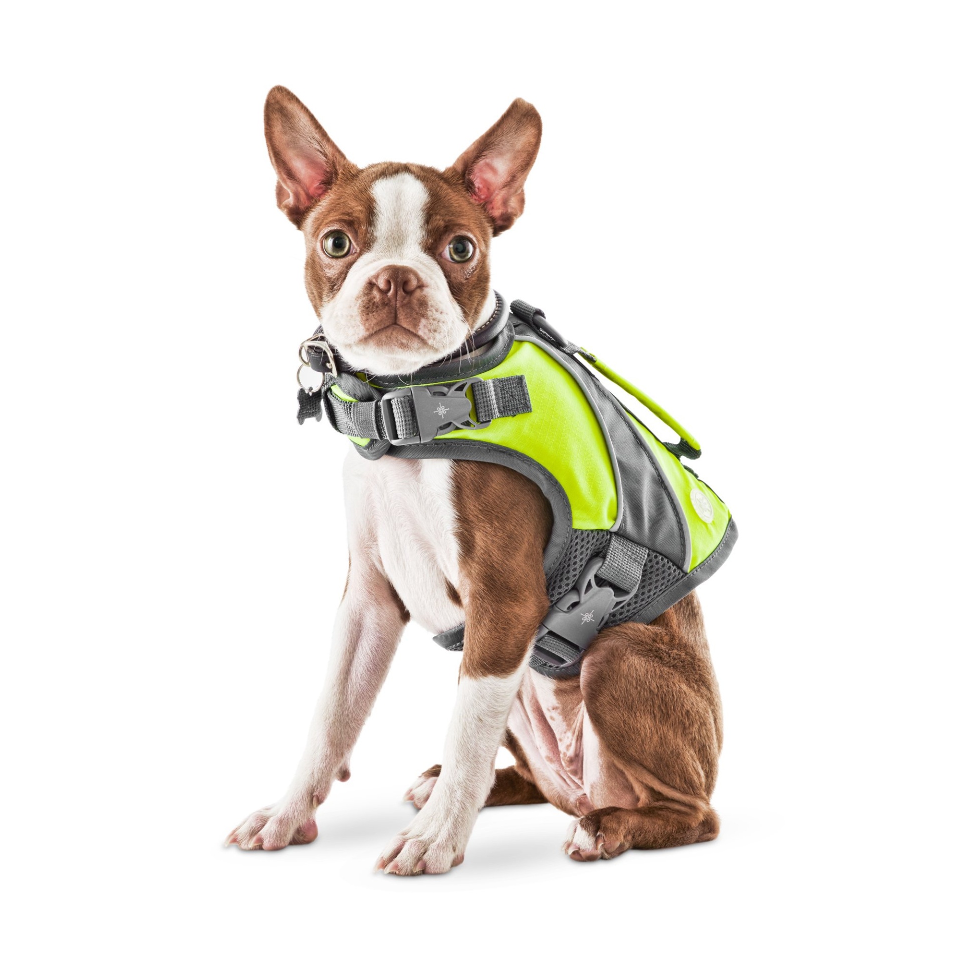 slide 1 of 1, Good2Go Yellow Dog Flotation Vest, MED