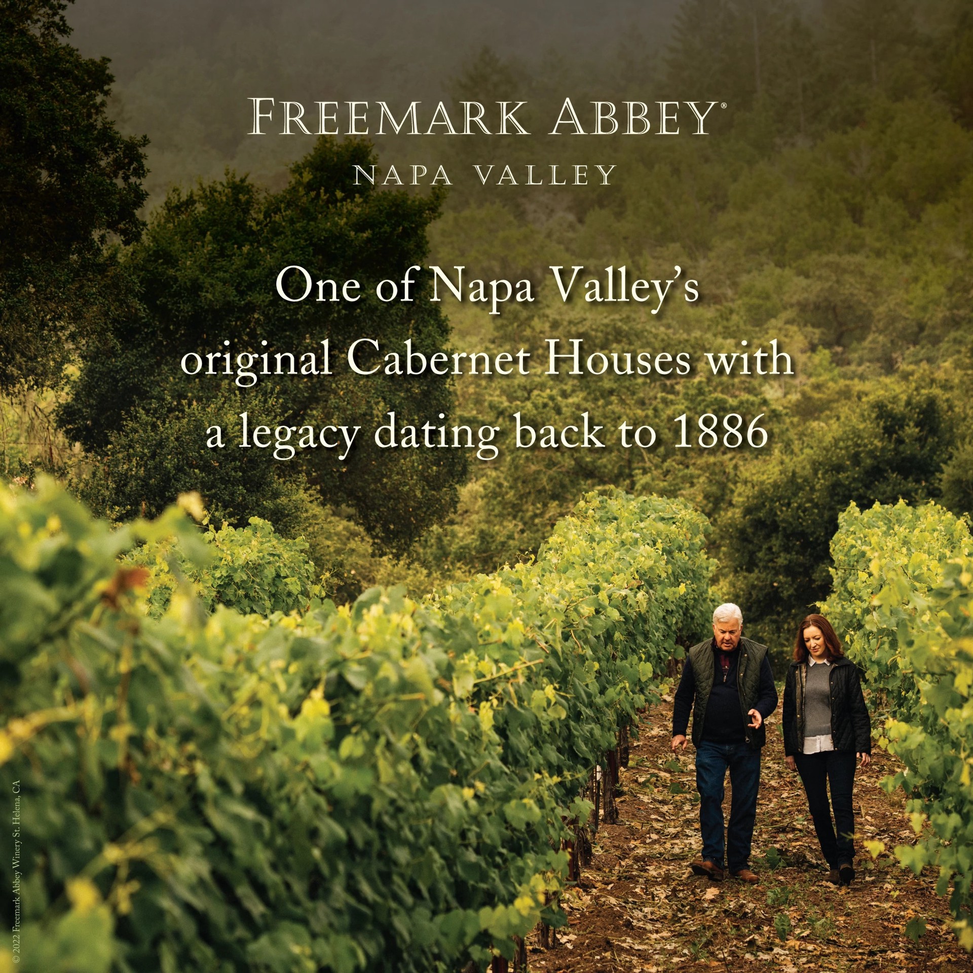 slide 4 of 4, Freemark Abbey Winery Napa Valley Cabernet Sauvignon Red Wine, 750ml, 750 ml