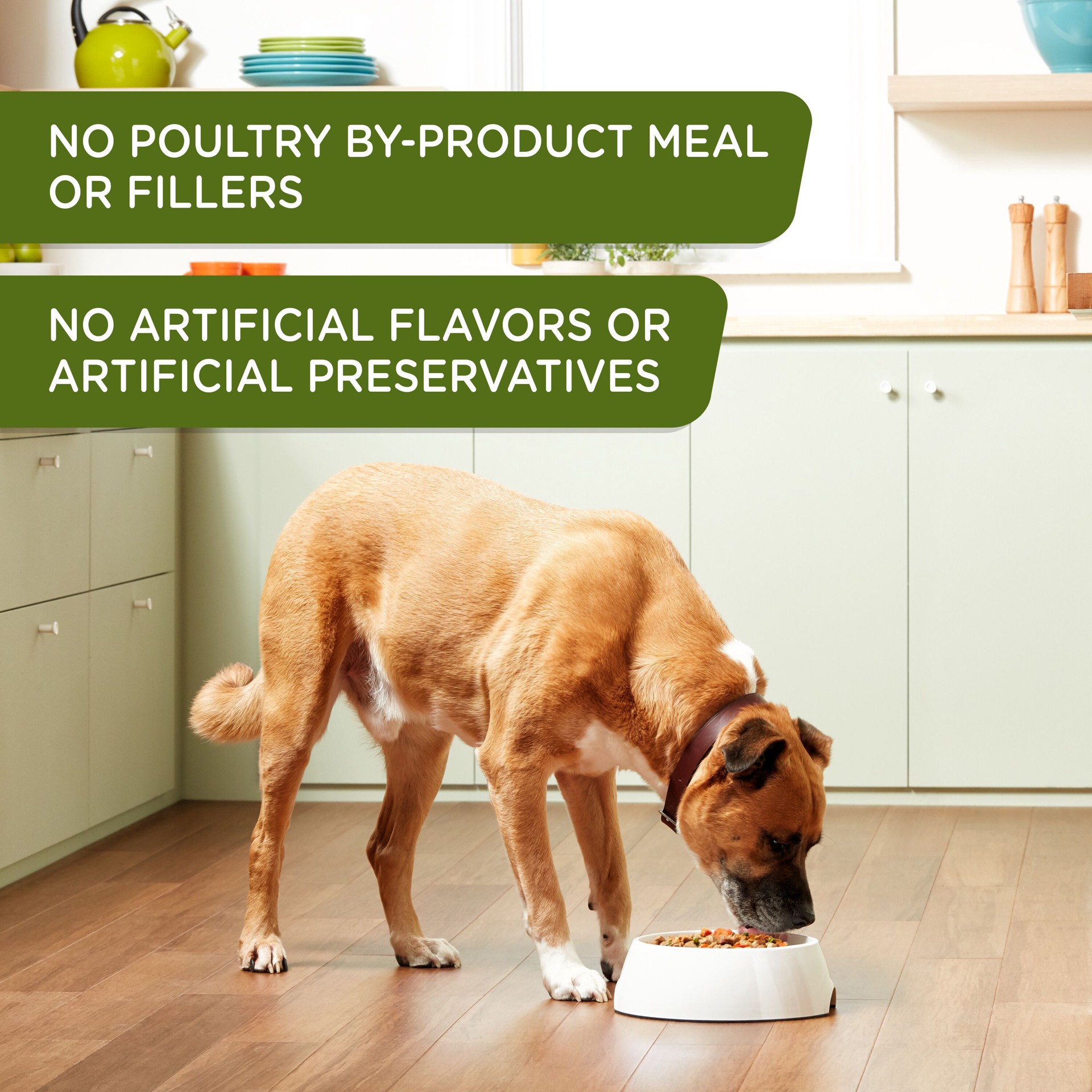 slide 8 of 9, Rachael Ray Nutrish Premium Pate Real Chicken & Apple Recipe Food for Dogs 13 oz, 13 oz