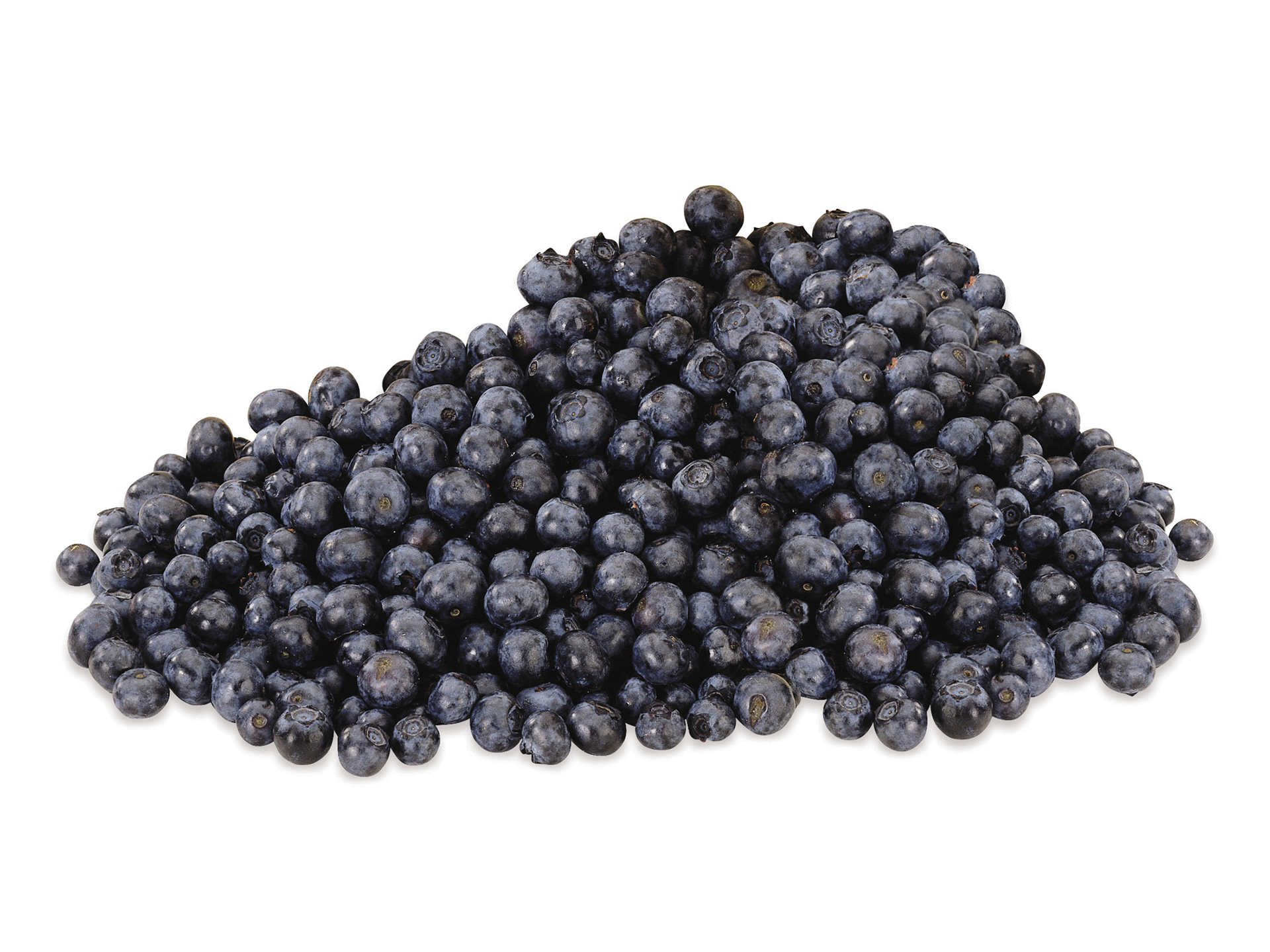 slide 1 of 1, SunBelle Fresh Blueberries, Organic, 6 oz