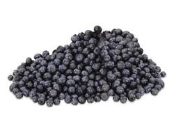SunBelle Fresh Blueberries, Organic