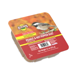 Audubon Park Peanut & Hot Pepper Suet Wild Bird Food, 11 oz
