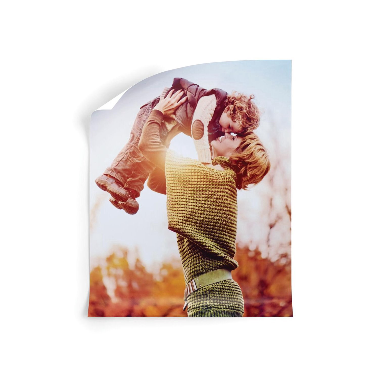 slide 2 of 2, FUJI 18x24 Poster Ol, 1 ct