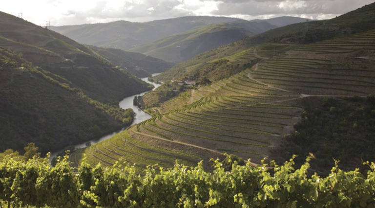 slide 5 of 6, Fonseca - Fine Tawny (750x12), 750 ml