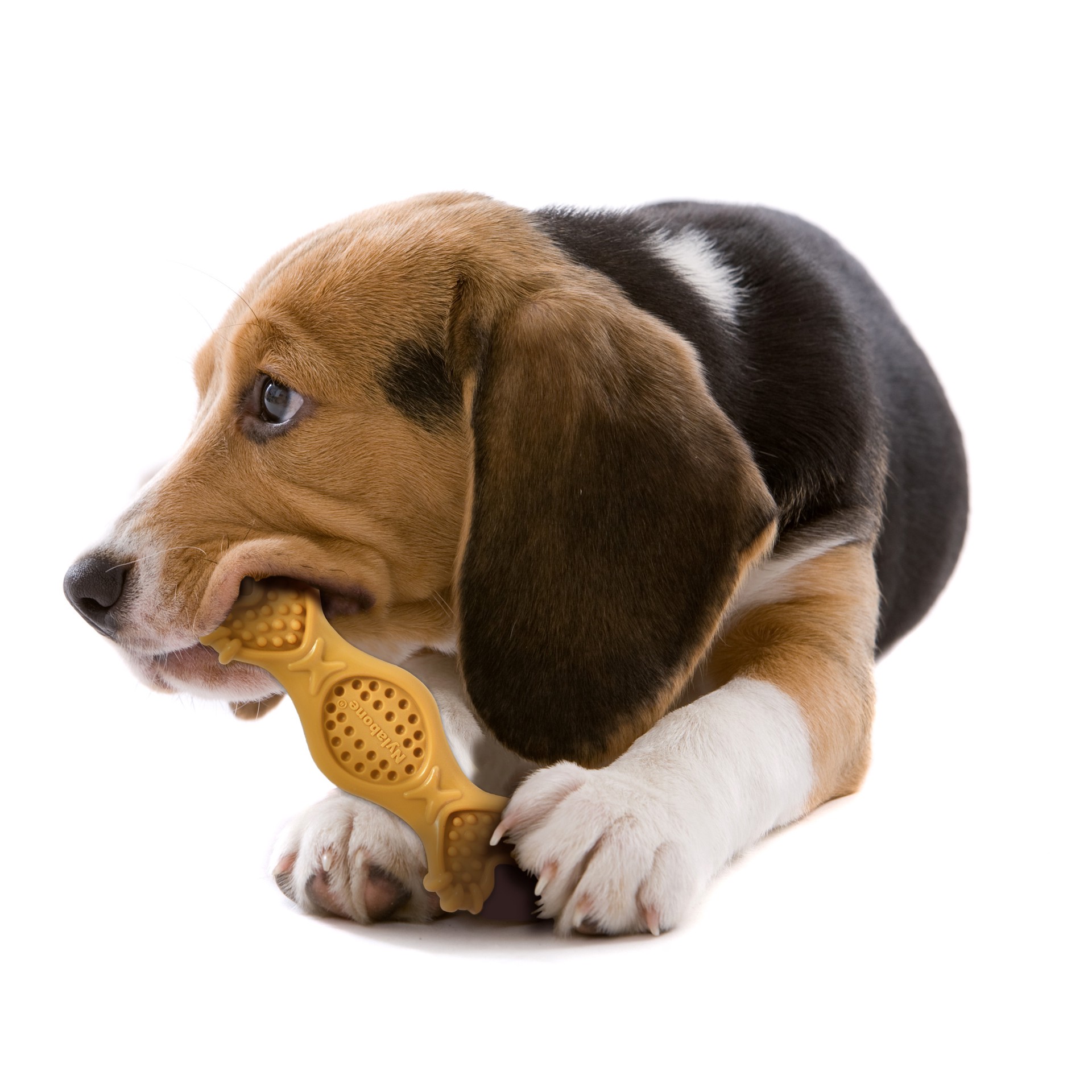 slide 7 of 10, Nylabone DuraChew Spread & Treat Chew Dog Toy, MED