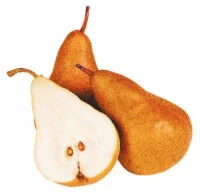 Organic - Pears - Bosc