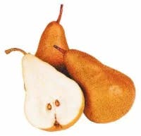 Organic - Pears - Bosc