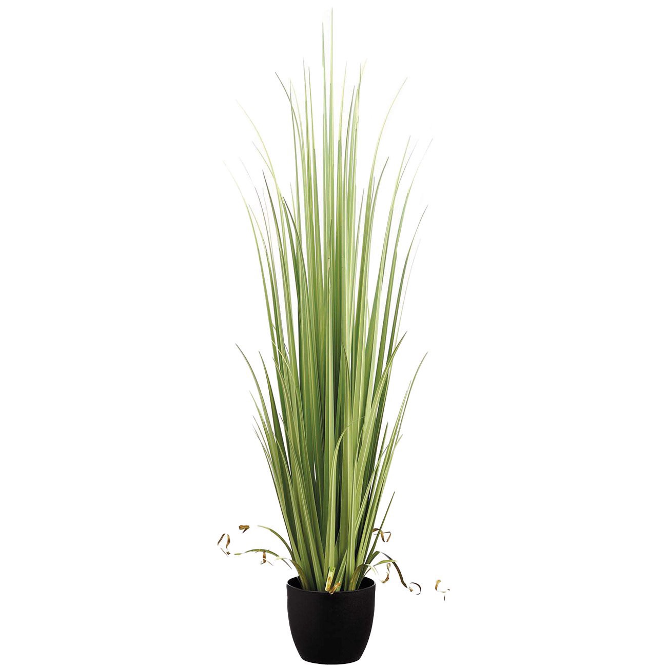 slide 1 of 1, Allstate Floral Artificial Reed Grass Plant in Pot, 60 in