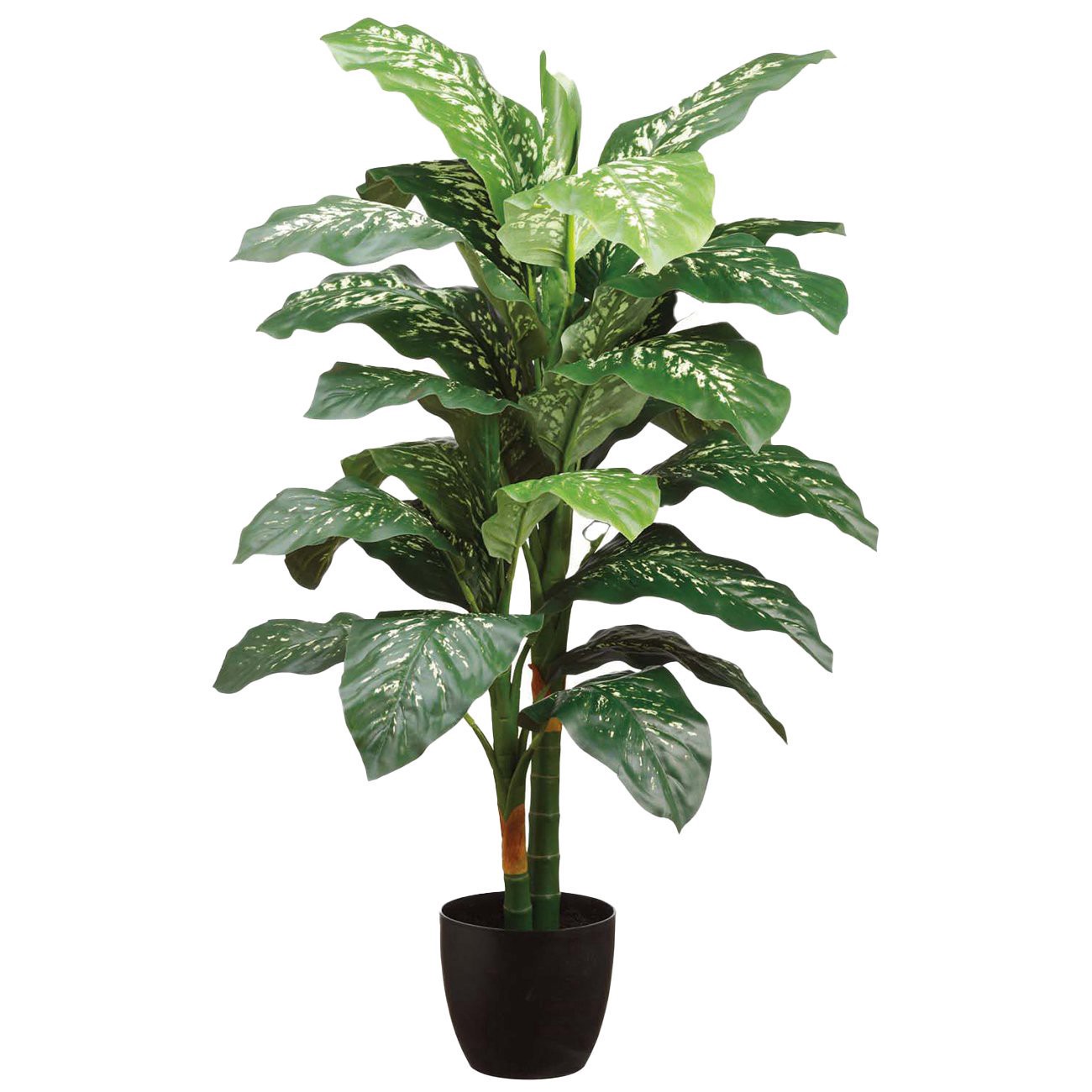 slide 1 of 1, Allstate Floral Artificial Dieffenbachia Plant in Pot, 4 ft