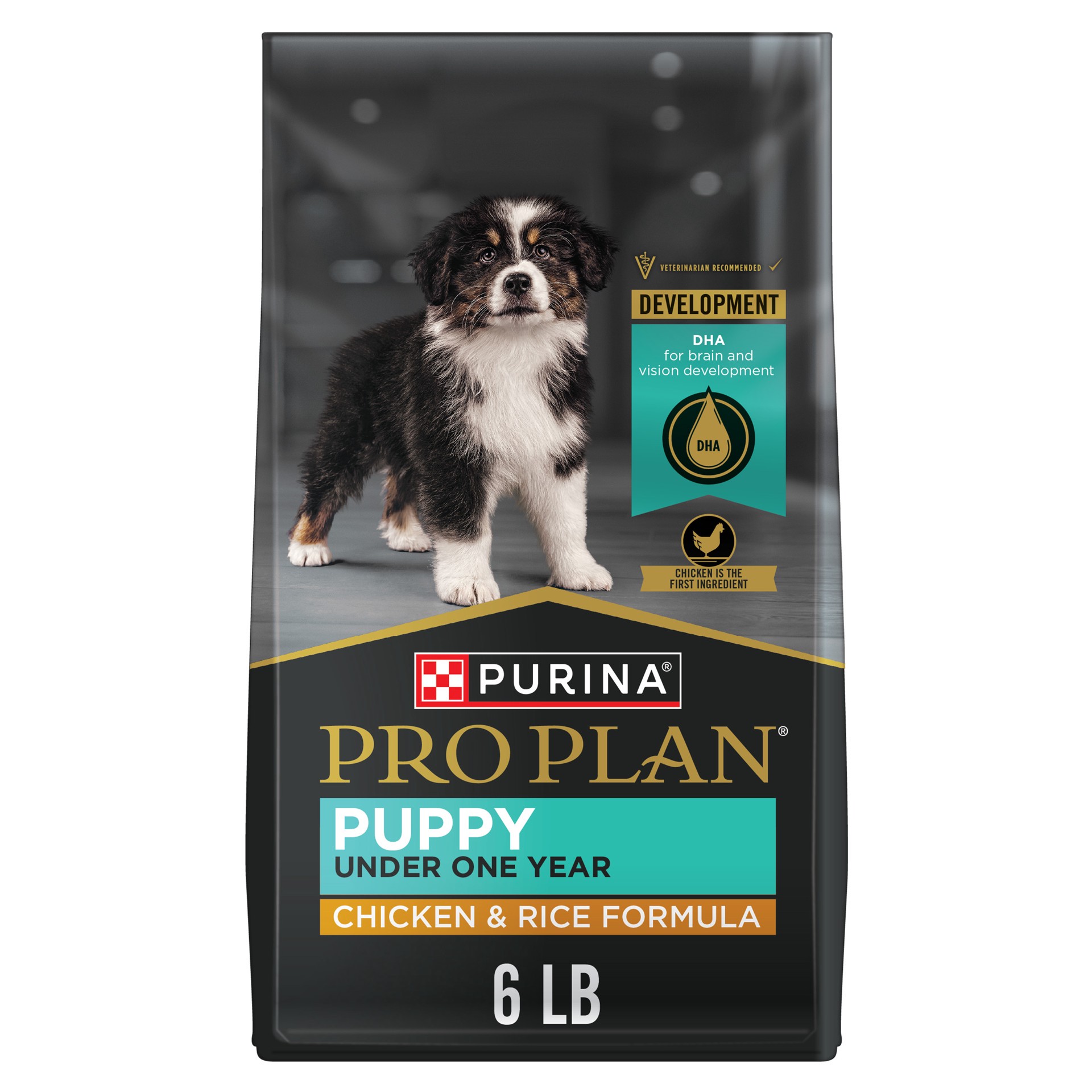 slide 1 of 9, Pro Plan Purina Pro Plan High Protein Dry Puppy Food, Chicken and Rice Formula, 6 lb