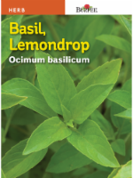 slide 1 of 1, Burpee Lemondrop Basil Seeds, 1 ct