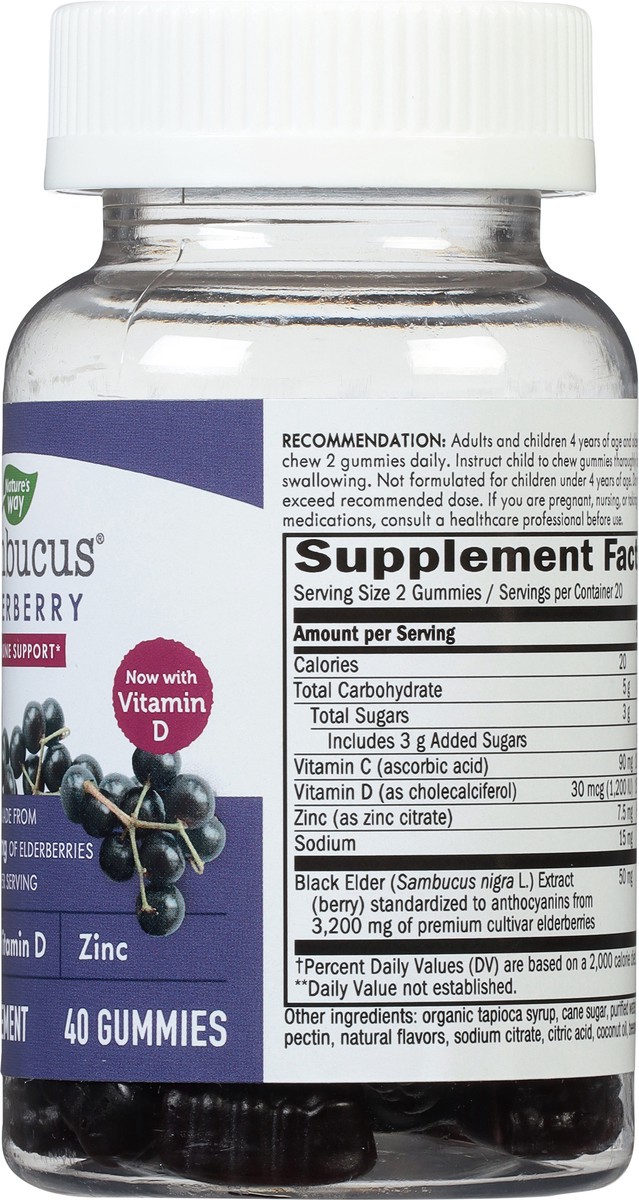 slide 2 of 9, Nature's Way Elderberry Sambucus 40 Gummies, 40 ct