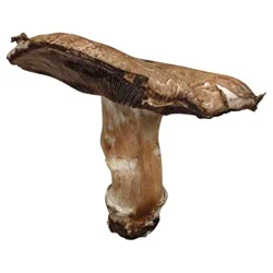 Portabella Mushrooms